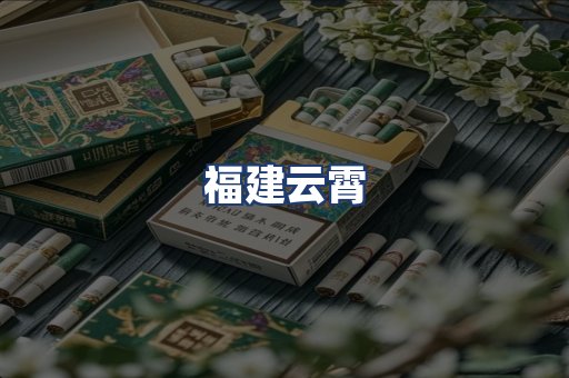 福建云霄